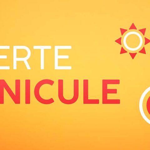 alerte canicule